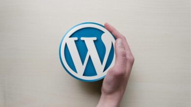 how-to-ensure-your-wordpress-design-reflects-your-brand-identity