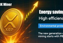 why-is-pbkminer's-xrp-mining-so-unique-and-leading?