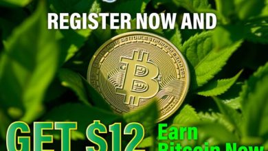 5-best-cloud-mining-platforms-for-2025:-okalio-mining-ranks-#1,-easily-earn-btc-and-eth